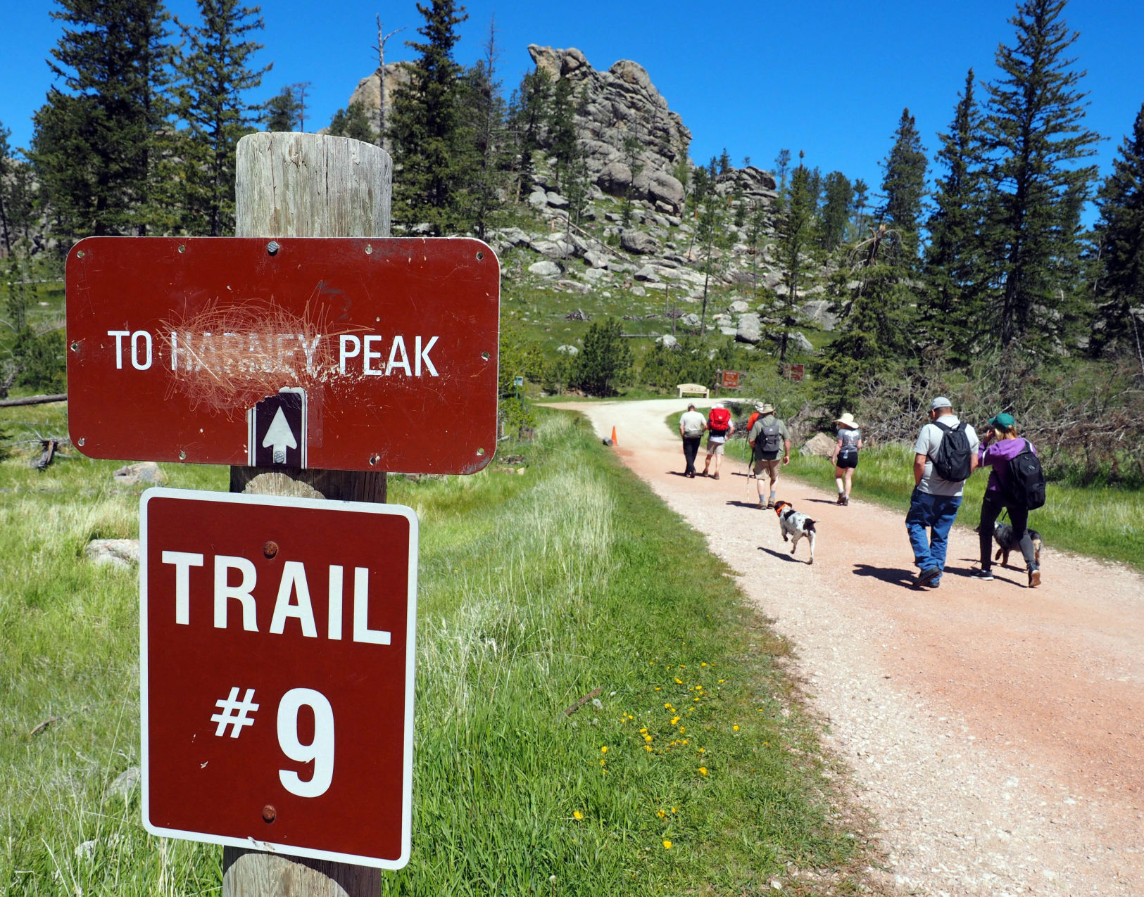 Black Elk Peak